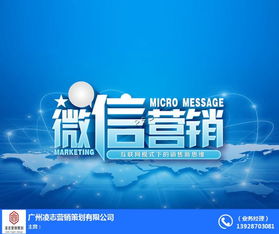 海珠区网站建设与软件开发 凌志营销策划的专业之道